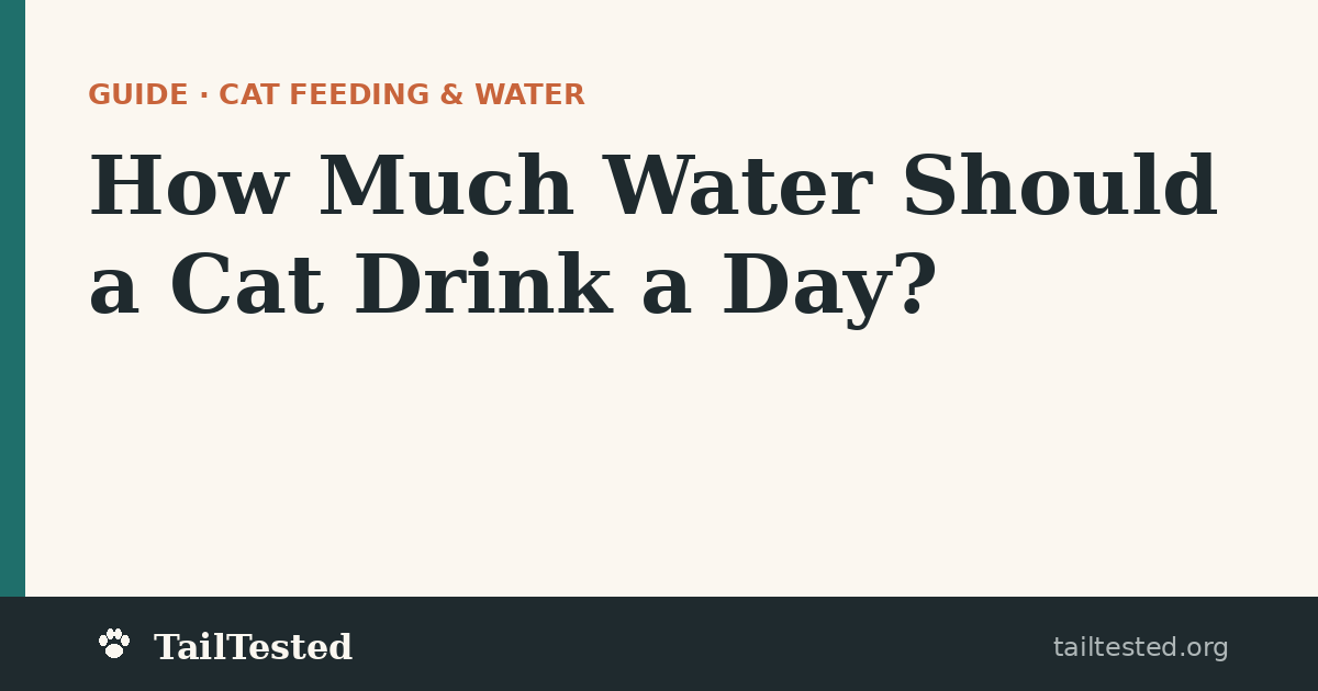 How Much Water Should a Cat Drink guide card