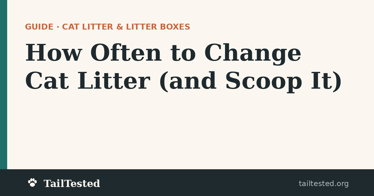 How Often to Change Cat Litter guide card