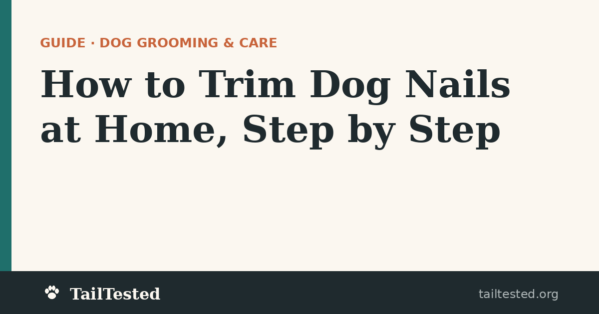 How to Trim Dog Nails at Home guide card