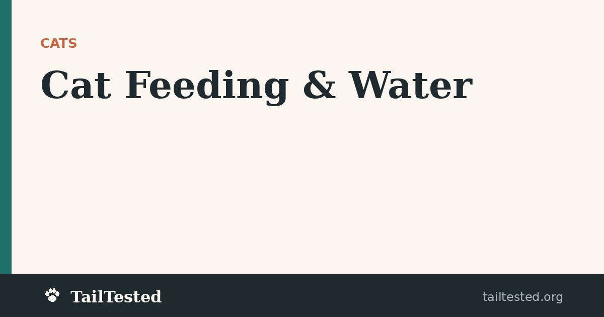 Cat Feeding & Water guides on TailTested