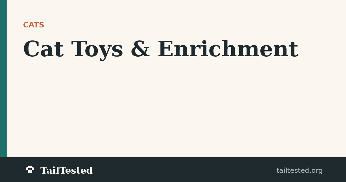 Cat Toys & Enrichment guides on TailTested